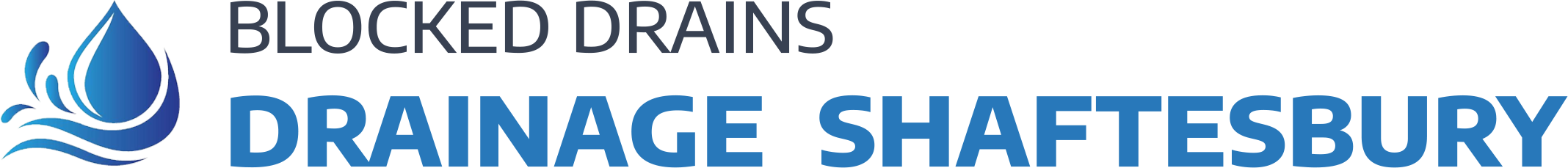 website logo